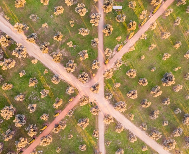 aerial view of many pathways in a field to illustrate the many small business financing solutions for acquisition deals