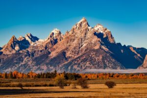 How Can I Grow My Business Through Acquisition? <yoastmark class=
